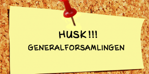 Generalforsamling